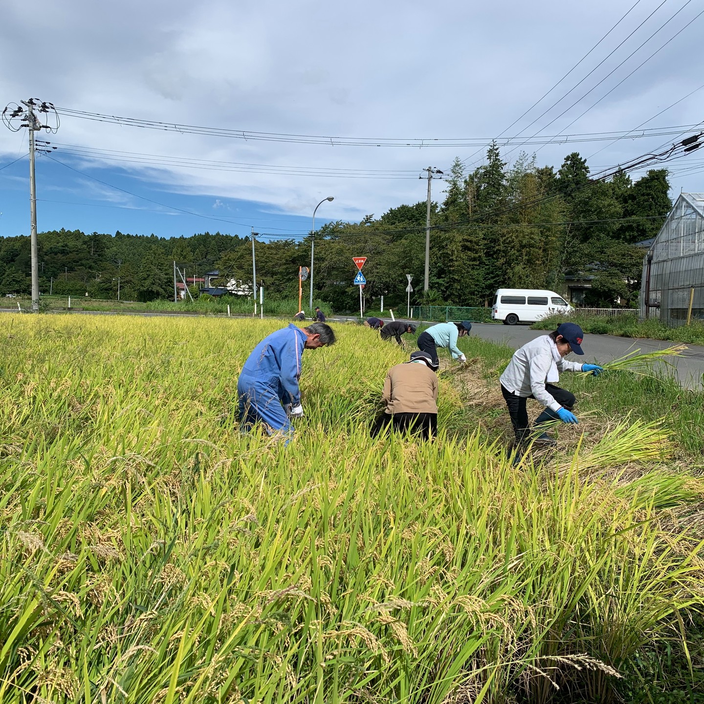 美里町｜あぐりーんみやぎ