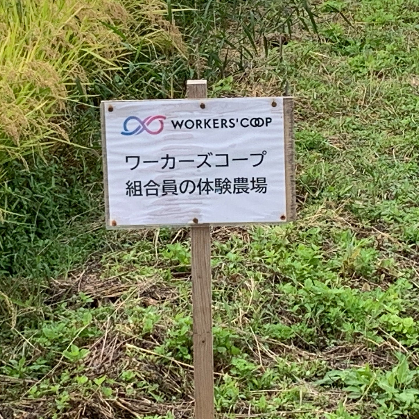 美里町｜あぐりーんみやぎ