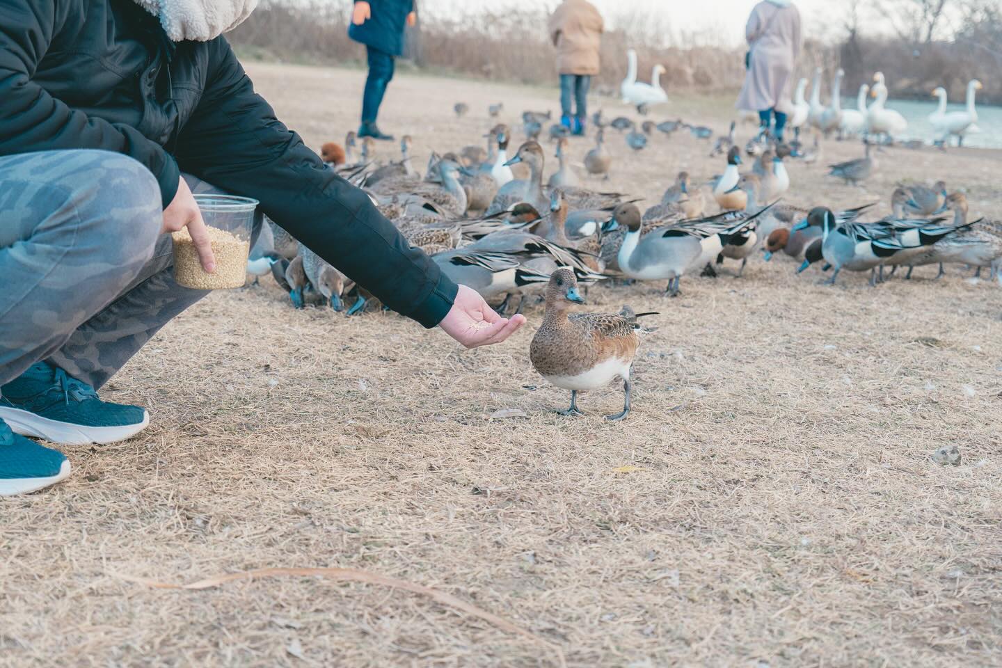 美里町｜あぐりきっず