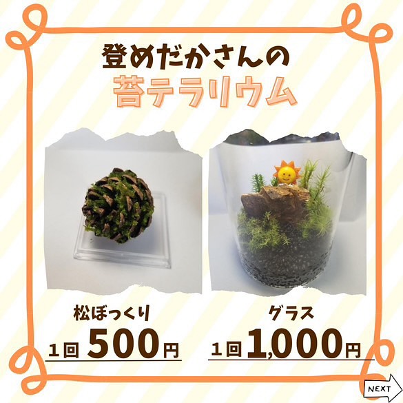 美里町｜後藤博美