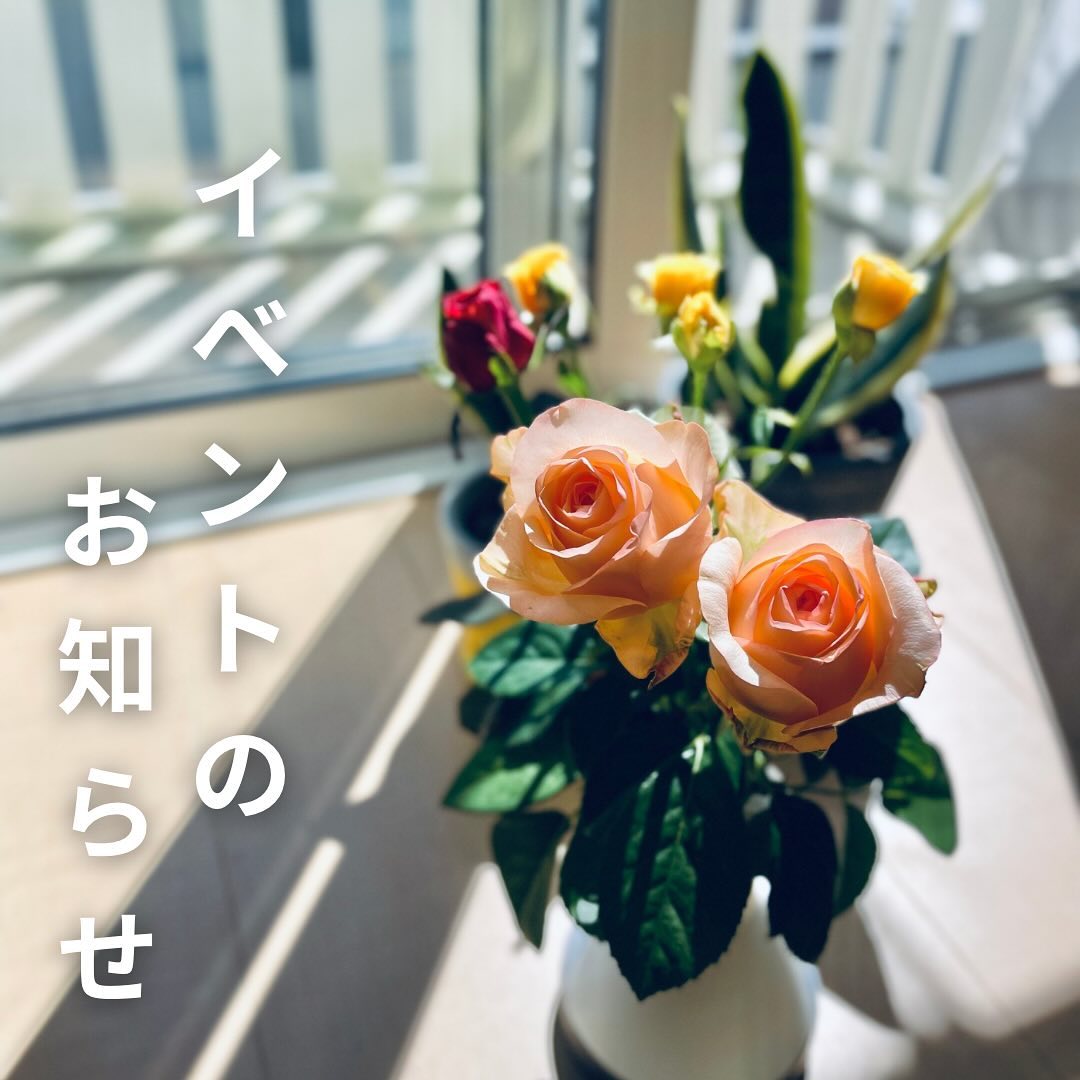 美里町｜Cafe The Maple