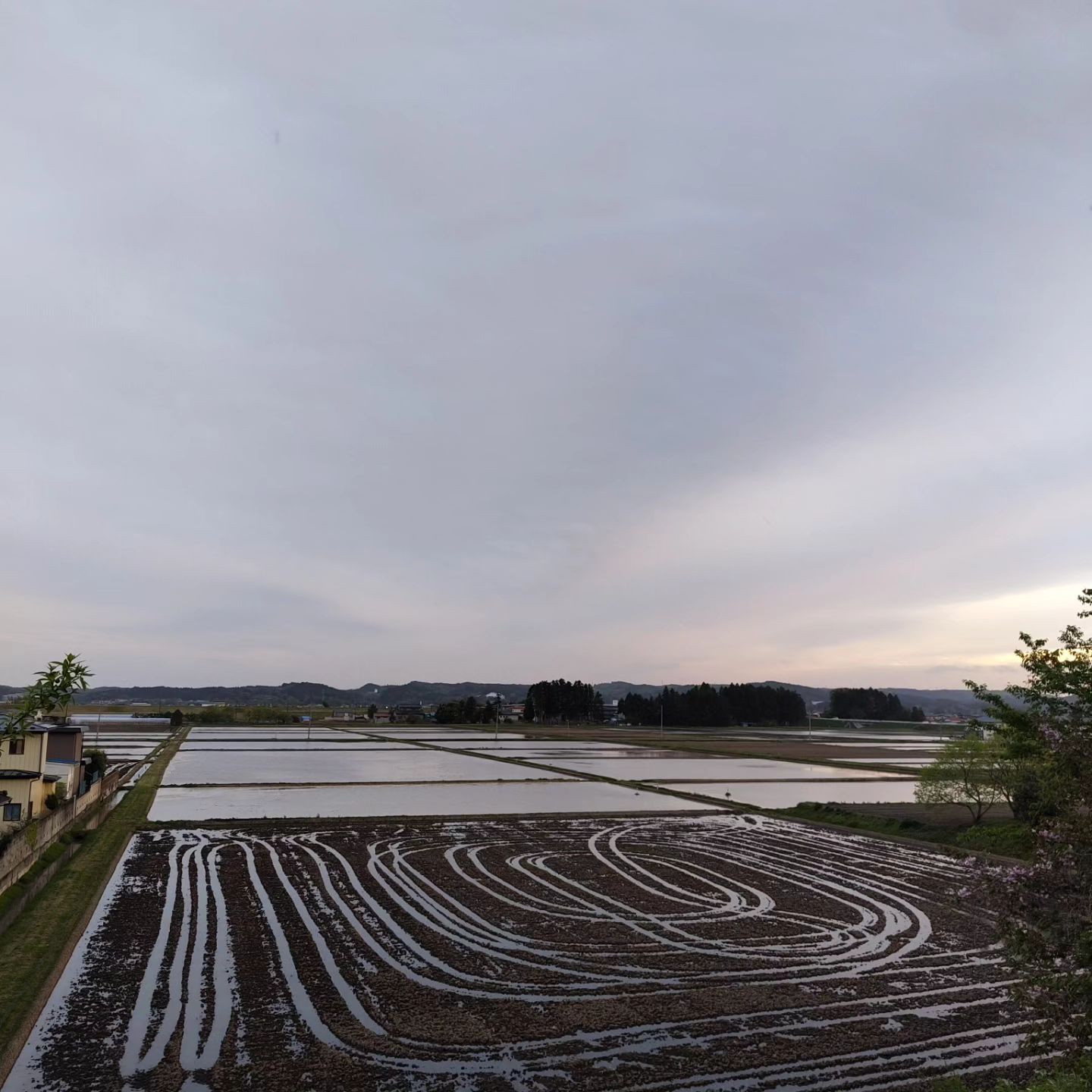 美里町｜チャオ・ササキ