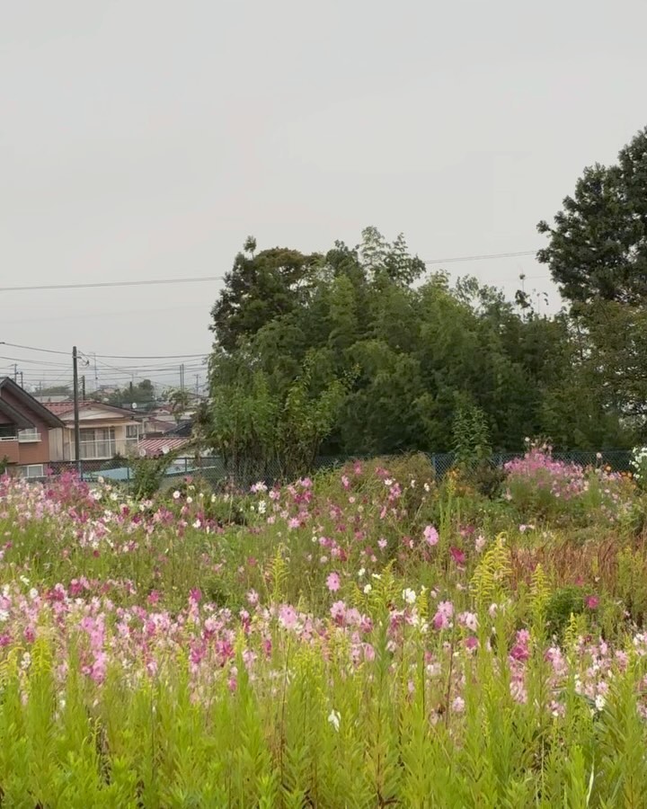 美里町｜ひとやすみ美容室