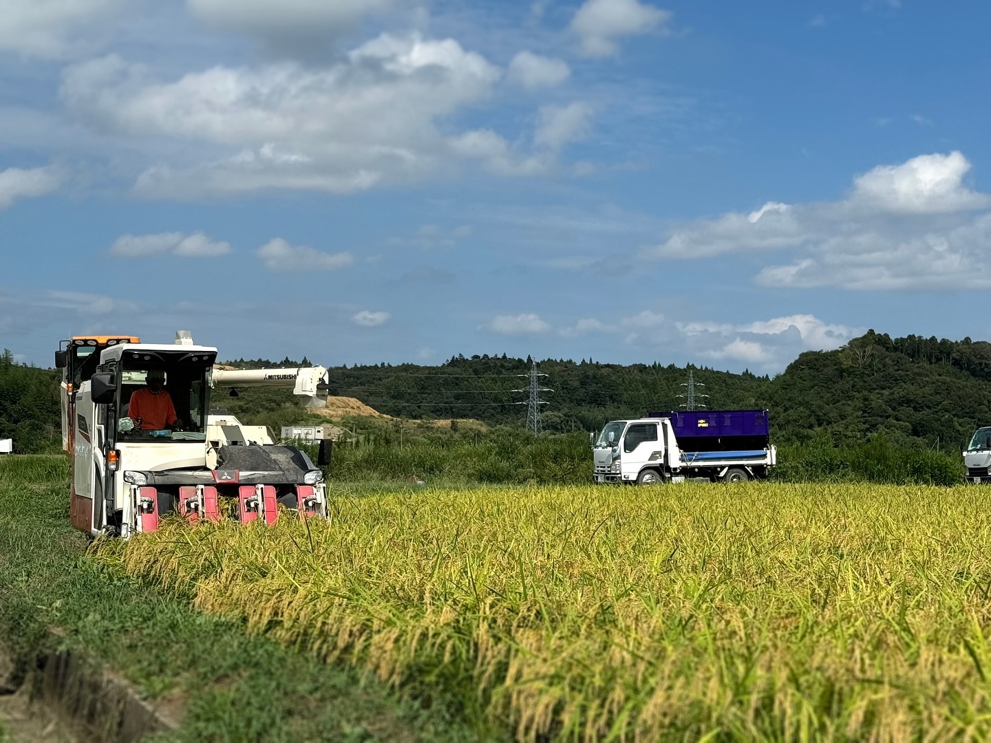 美里町｜カネサオーガニック味噌工房