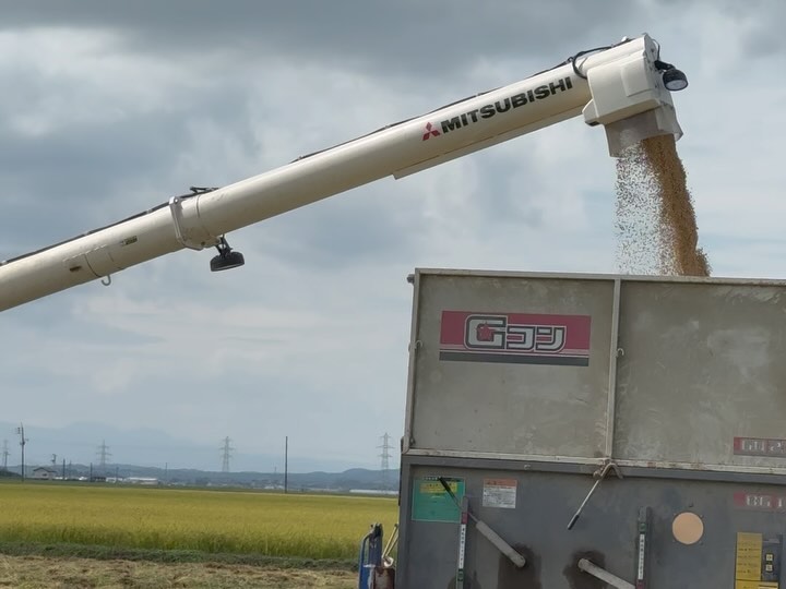 美里町｜カネサオーガニック味噌工房