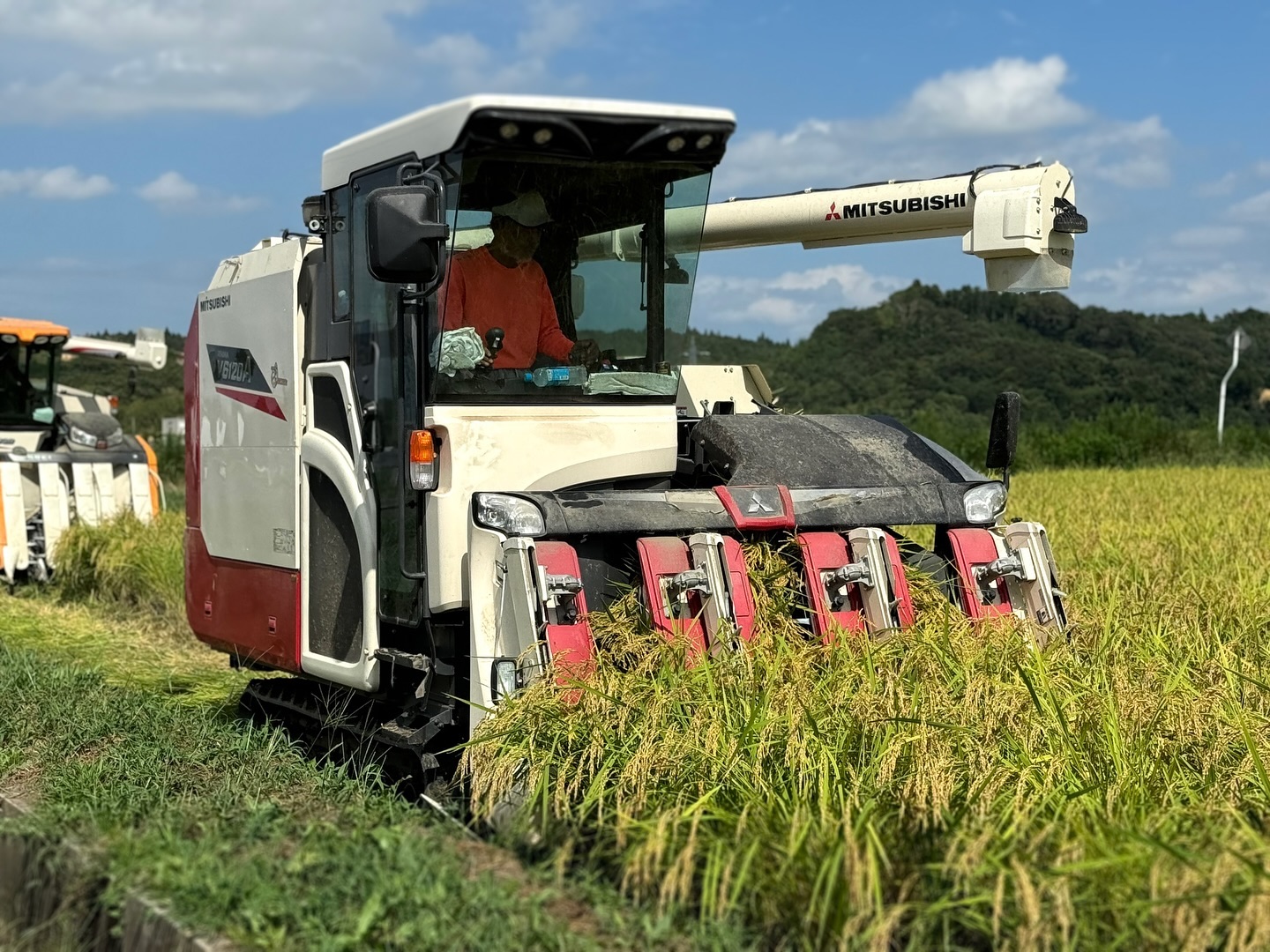 美里町｜カネサオーガニック味噌工房