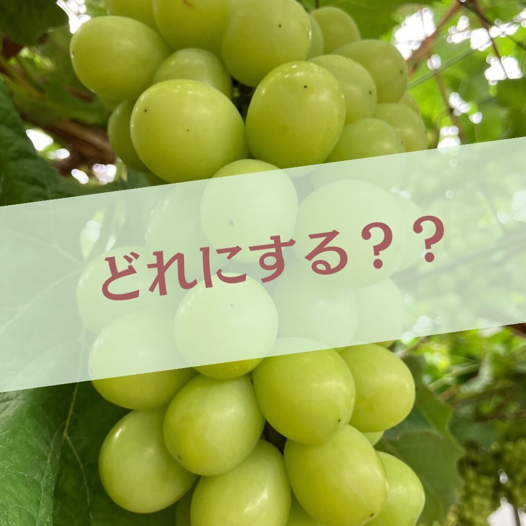 美里町｜でんえん土田畑村