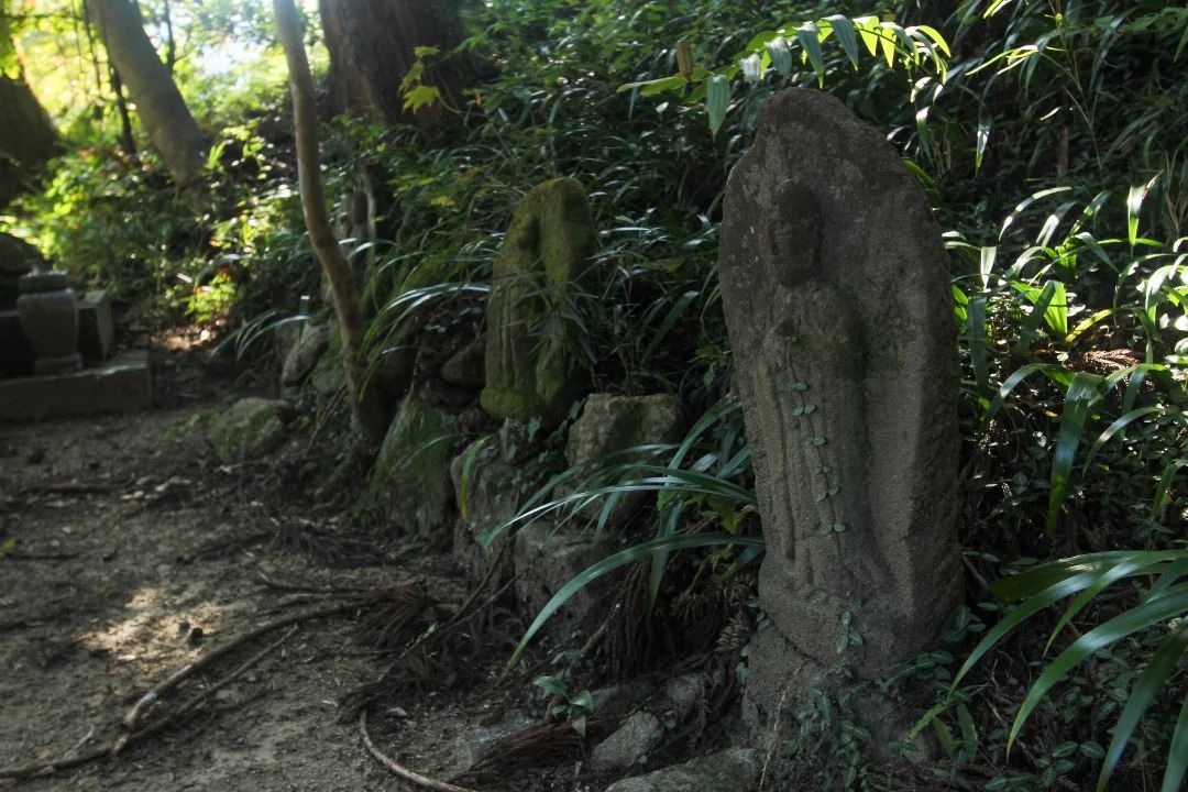 美里町｜なるせ