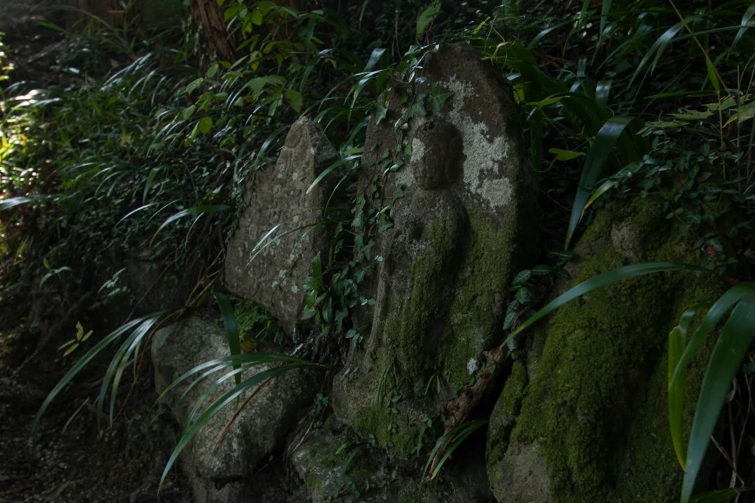美里町｜なるせ