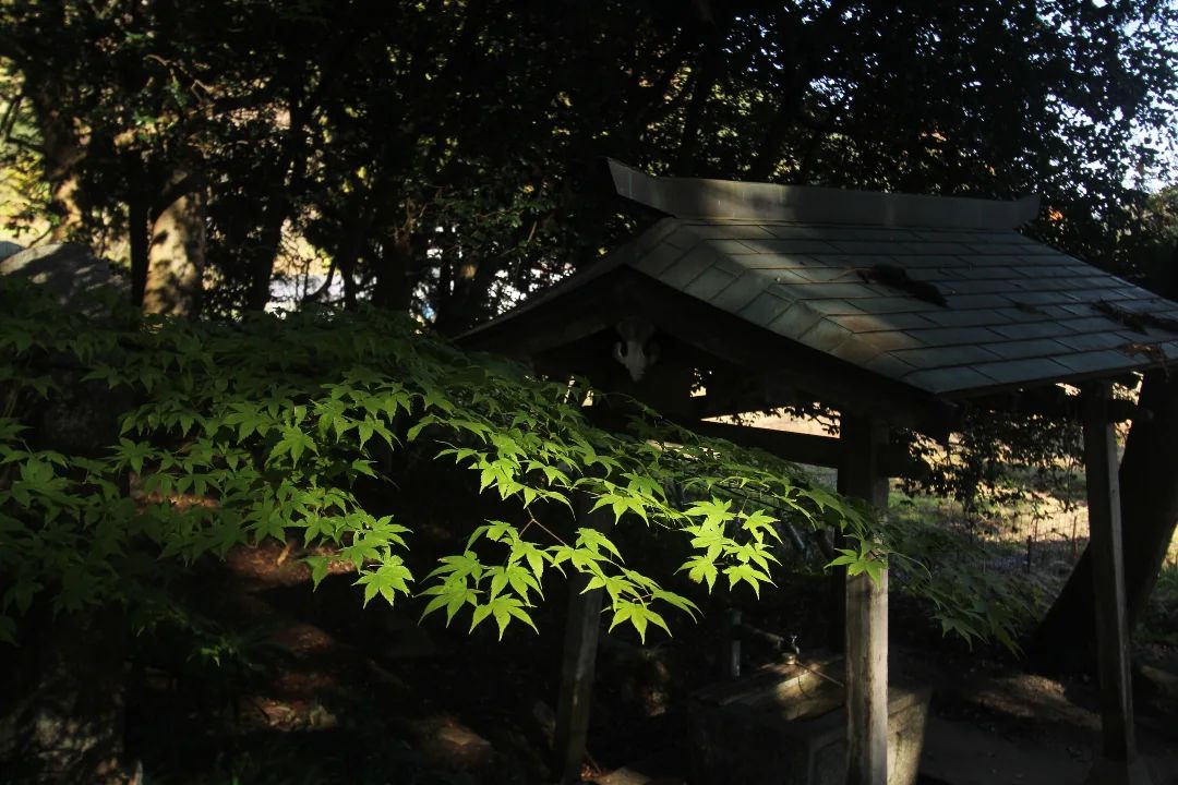美里町｜なるせ