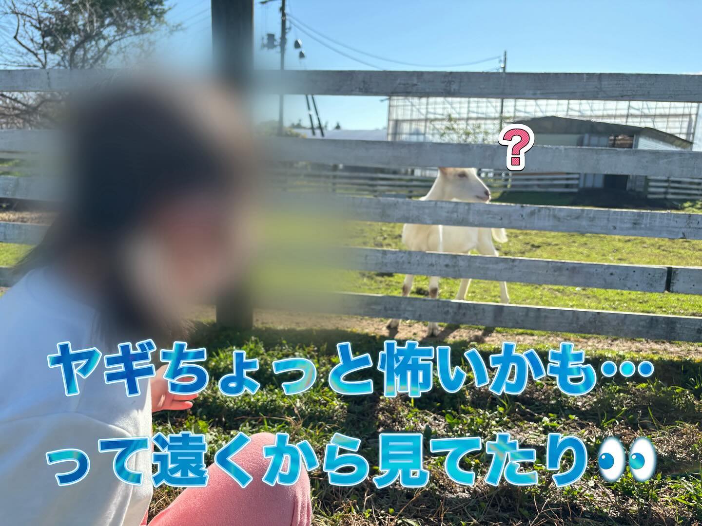 美里町｜シェアワークス美里